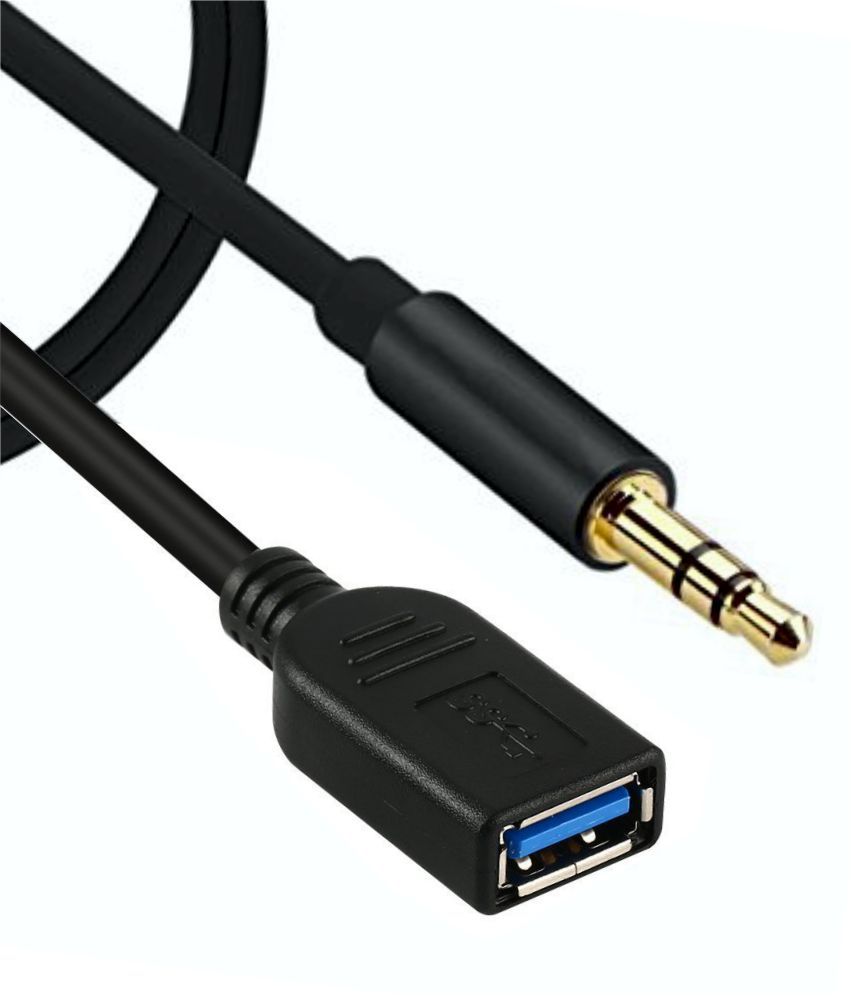 Male Aux To 2.0 Female USB Cable